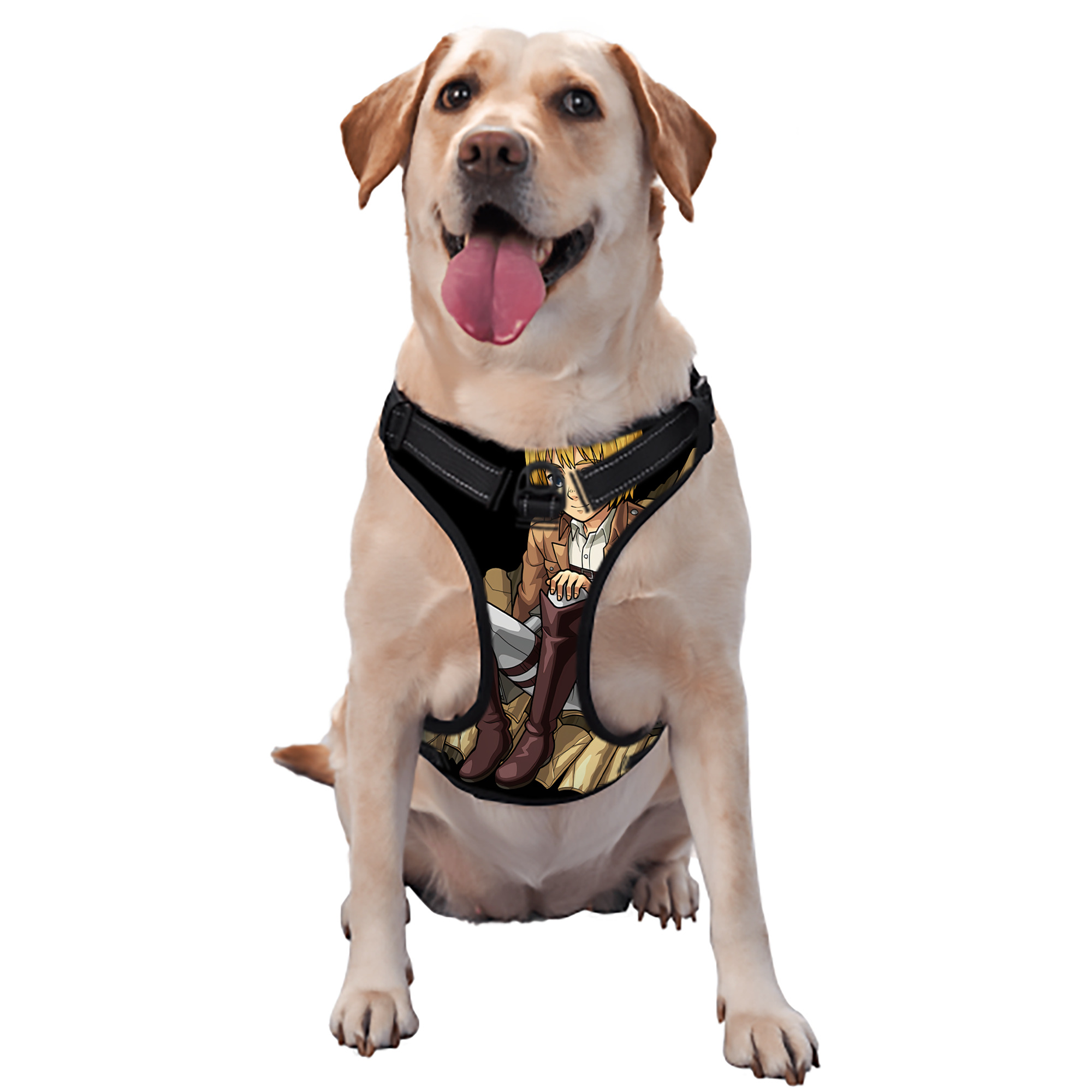（画像用） 進撃の巨人 アルミン·アルレルト Attack on Titan Armin Arlert ペット用ハーネス